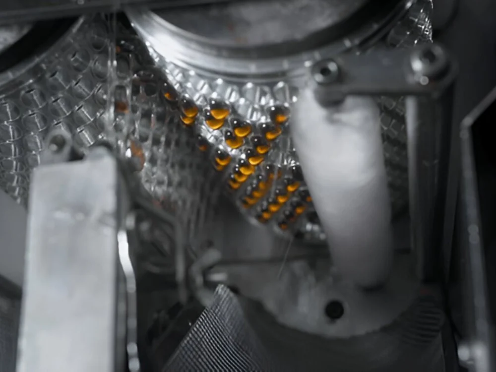 Shell Preparation pic WH 1000x750px